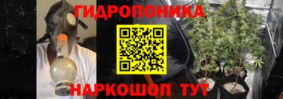 mdpv Обнинск